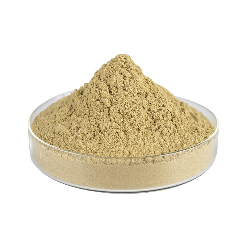 Cordyceps Extract Supplier - Sinensis Powder Low Price