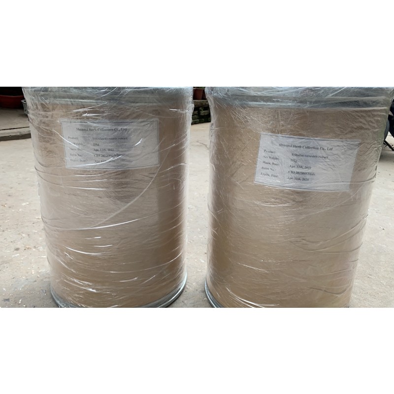 Lion's Mane Extract Manufacturer - 30% Polysaccharides EU Standard
