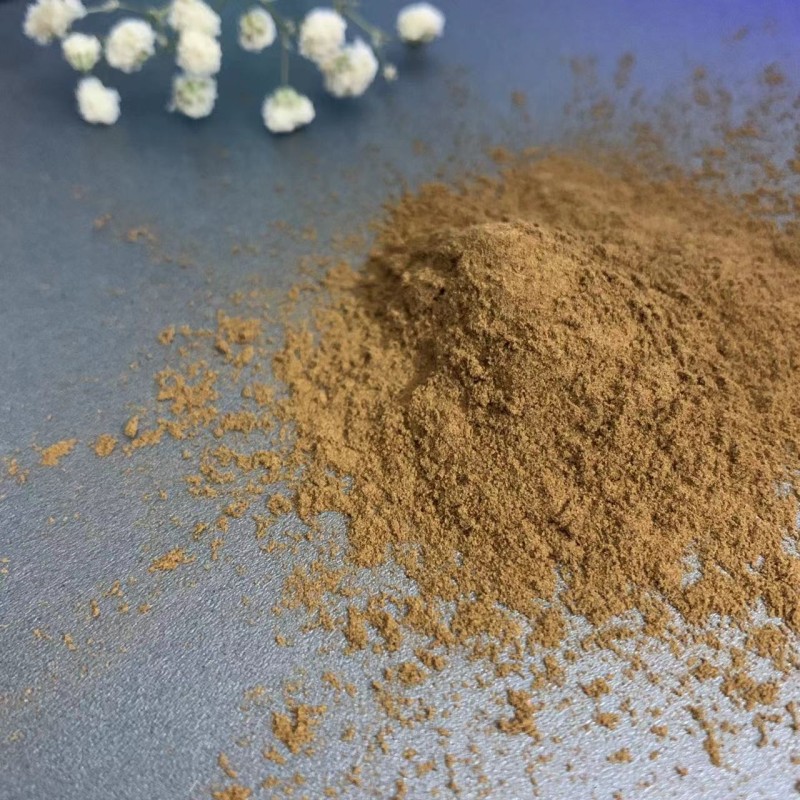 Reishi Mushroom Extract Supplier - 40% Polysaccharides Powder