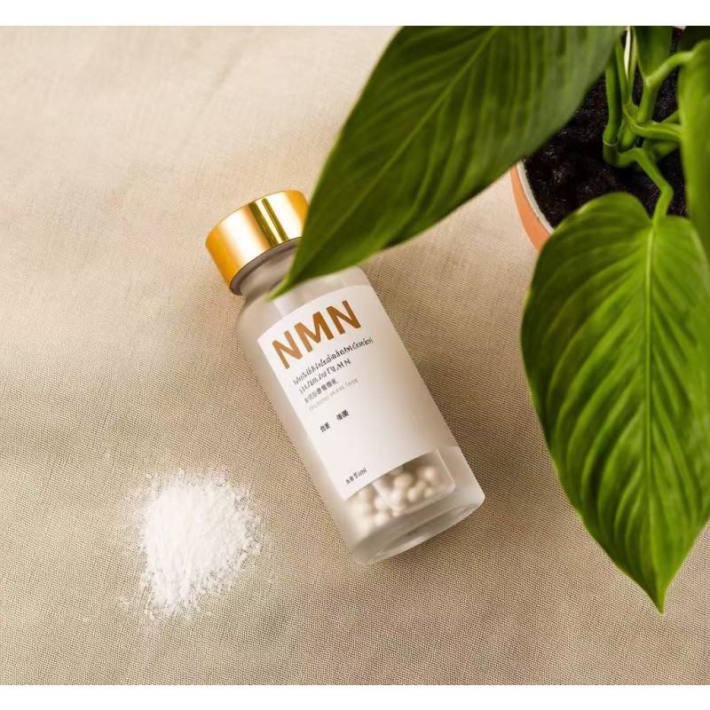 NMN Capsules Supplier - 250mg Beta-NMN Private Label