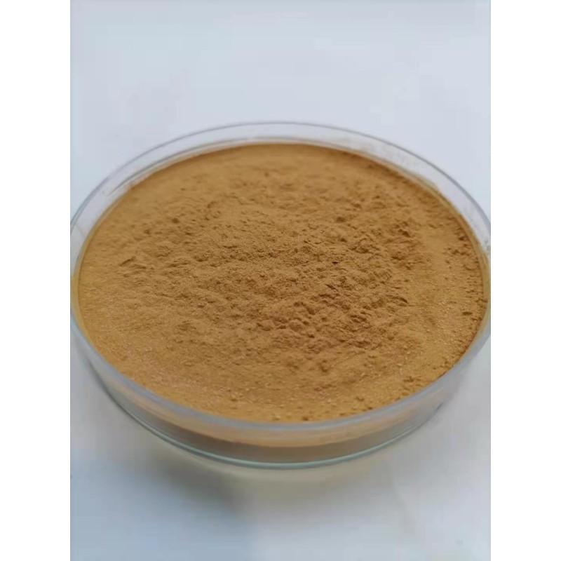 Cinnamon Bark Extract Supplier - 10:1 Bulk Powder