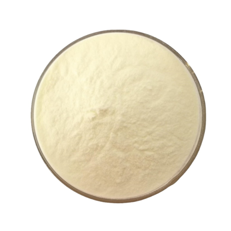 Marine Collagen Powder Supplier - Cosmetic Grade Bulk