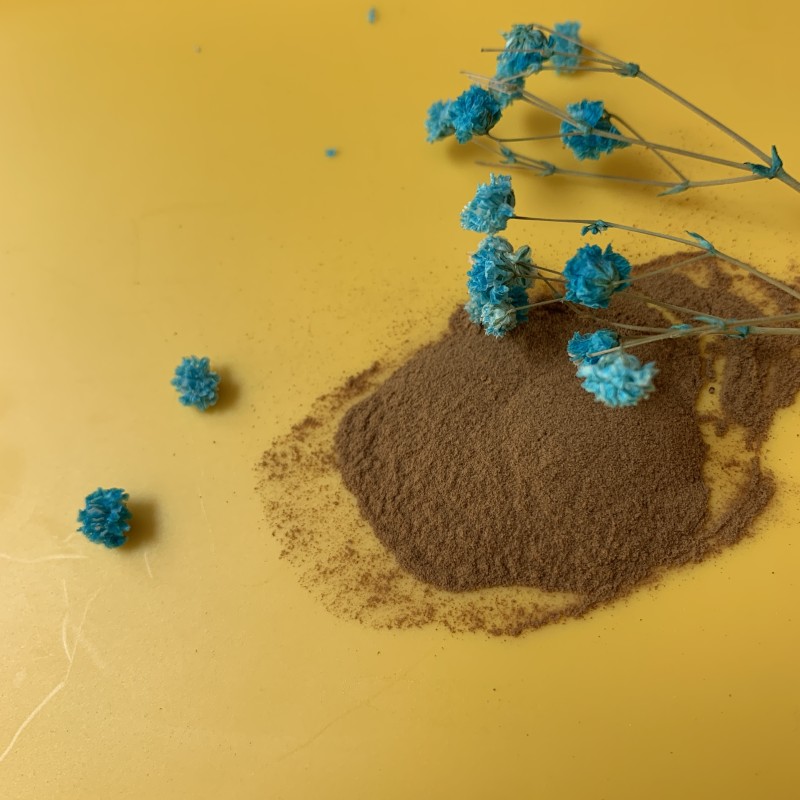 Lion's Mane Coffee Powder Factory - Water Soluble Mushroom