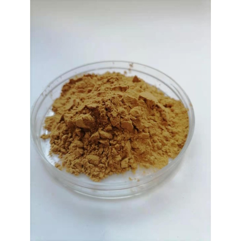 Cinnamon Bark Extract Supplier - 10:1 Bulk Powder