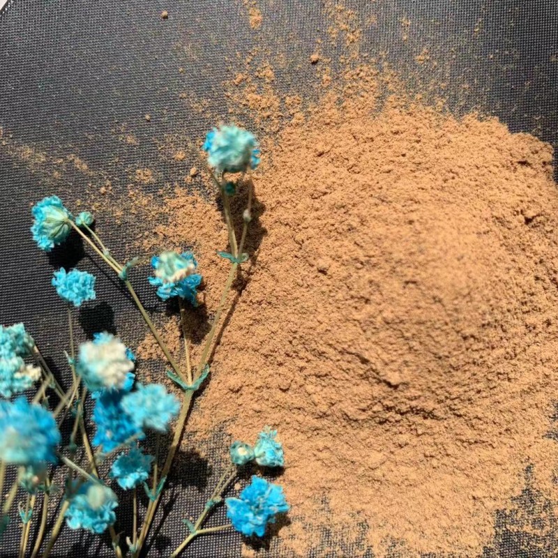 Chaga Mushroom Extract Supplier - 20 Years Factory Low Price