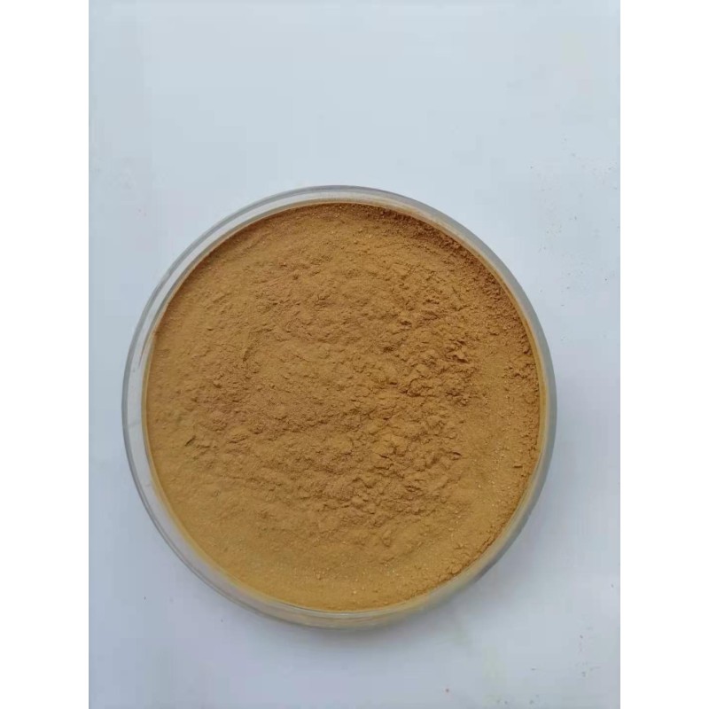 Camu Camu Extract Supplier - 100% Pure Powder Bulk