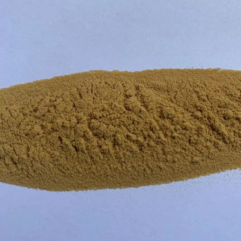 Reishi Mushroom Extract Manufacturer - Ganoderma Lucidum Powder