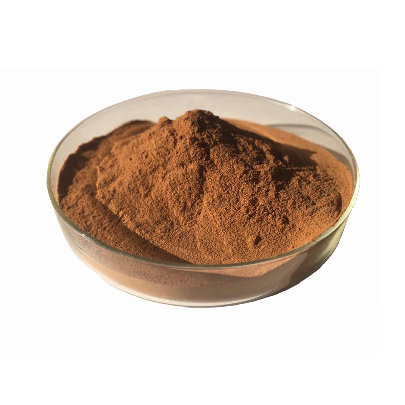 Reishi Mushroom Extract Manufacturer - Ganoderma Lucidum Powder