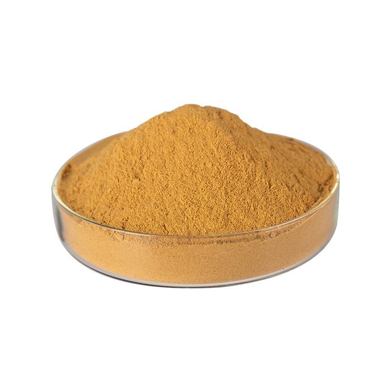 Ginkgo Biloba Extract Supplier - 100% Natural Herbal Leaf