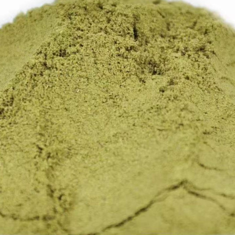 Celery Seed Powder Manufacturer - Natural Extract Bulk