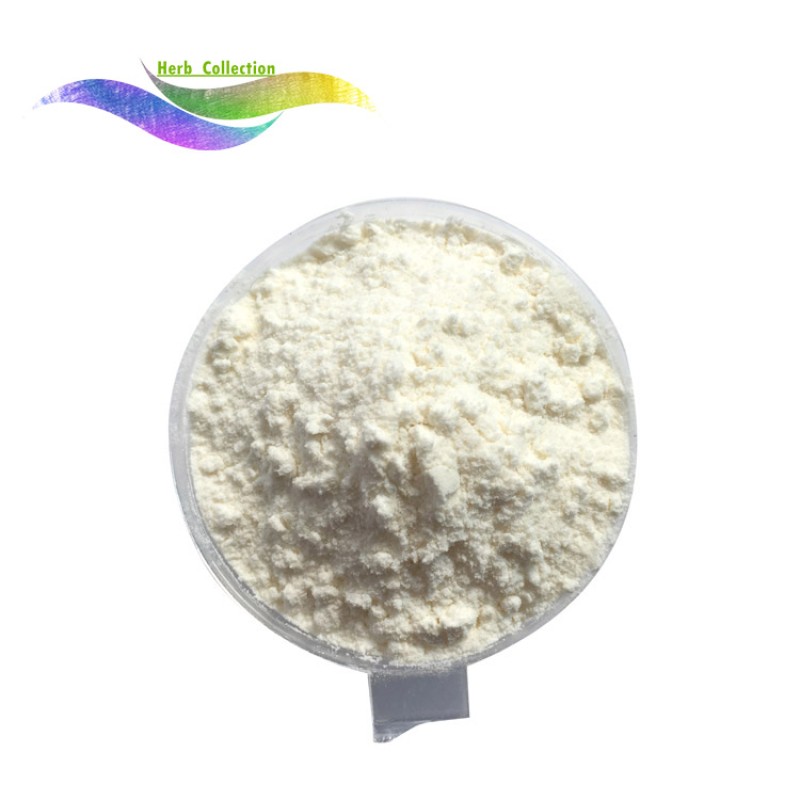 Whey Protein Powder Manufacturer - 80% WPC 25kg Bulk