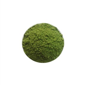 Matcha Powder Manufacturer - Drink Tea Grade Bulk
