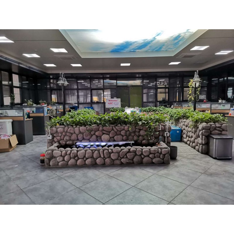 NMN Powder Supplier - 99.8% Purity Beta-NMN Bulk