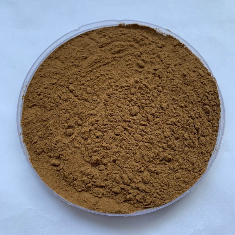 Reishi Mushroom Extract Factory - 40% Polysaccharides Powder