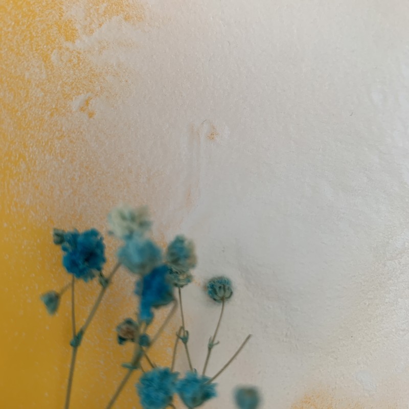 NMN Powder Factory - 99% Pure CAS 1094-61-7 Low Price