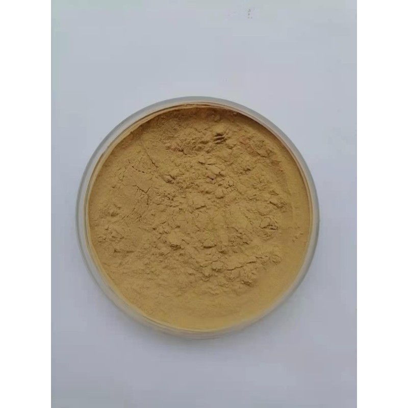 Camu Camu Extract Supplier - 100% Pure Powder Bulk