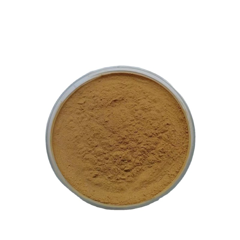 Cinnamon Bark Extract Supplier - 10:1 Bulk Powder