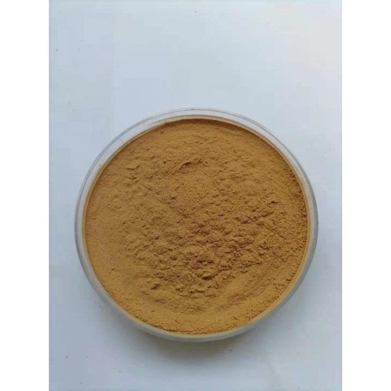 Ginseng Extract Powder Supplier - 10:1 Root Extract Bulk