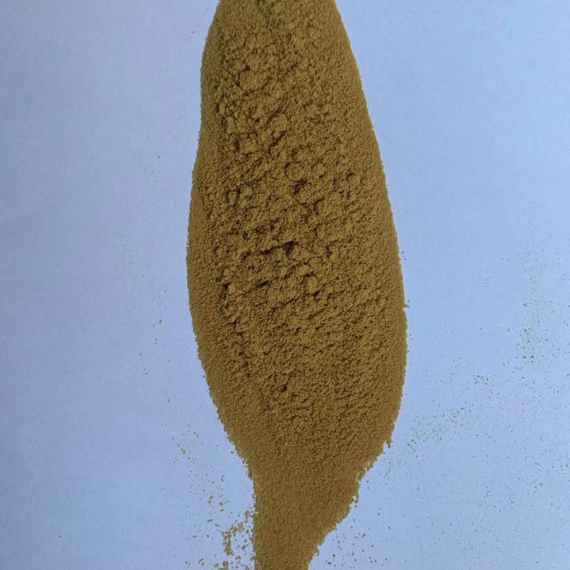 Reishi Mushroom Extract Manufacturer - Ganoderma Lucidum Powder