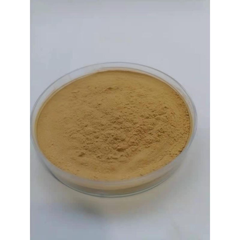 Mushroom Blend Powder Factory - Lion's Mane Reishi Cordyceps