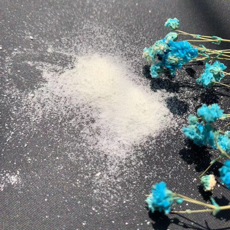 NMN Powder Manufacturer - 99% Purity CAS 1094-61-7 Bulk