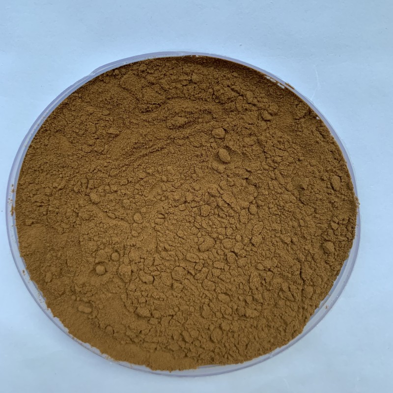 Reishi Mushroom Extract Factory - 40% Polysaccharides Powder