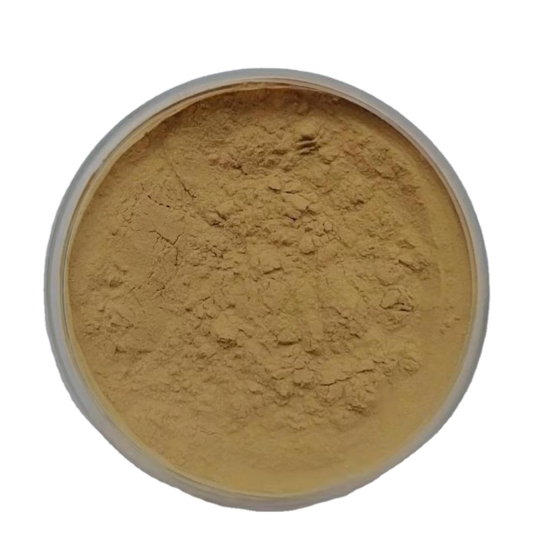 Camu Camu Extract Supplier - 100% Pure Powder Bulk