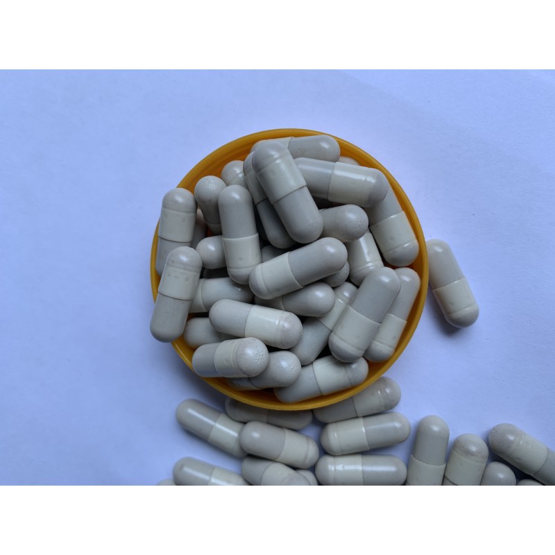 Tribulus Terrestris Capsules Manufacturer - Food Supplementary Bulk