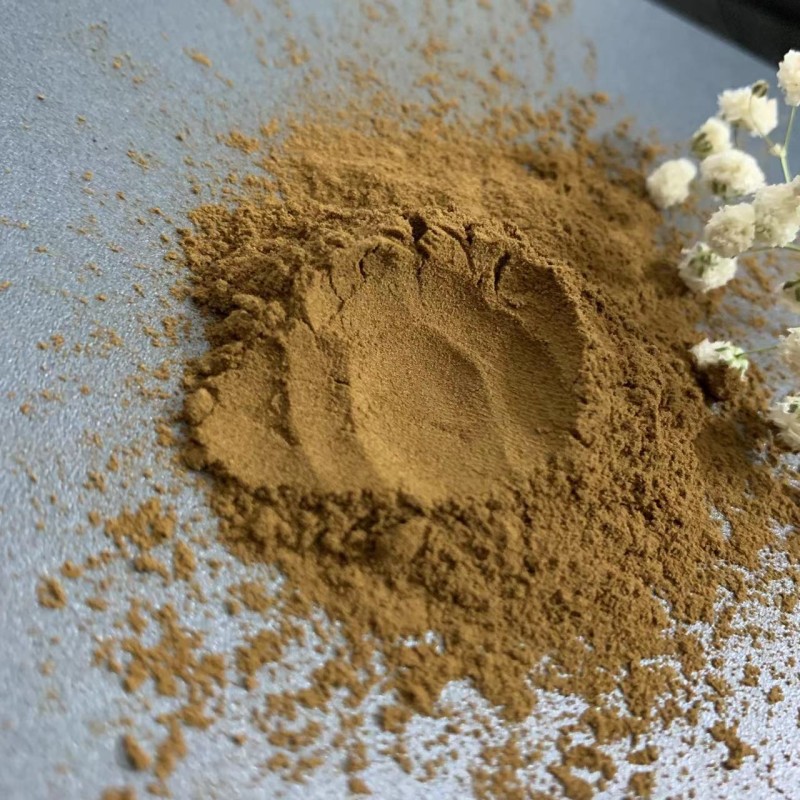 Mushroom Extract Powder Manufacturer - Low Price Bulk Supply