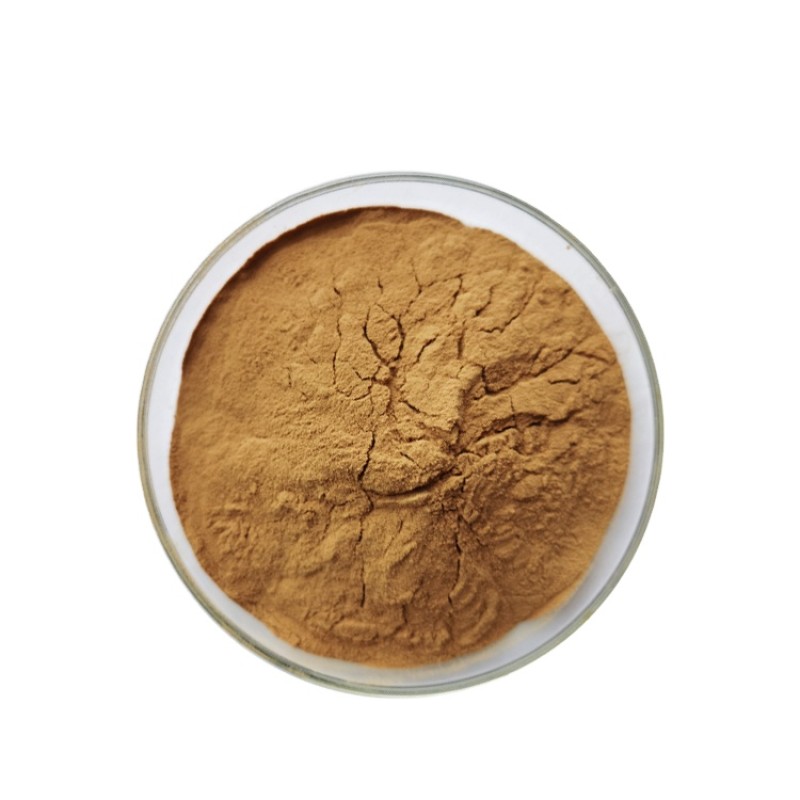 Reishi Mushroom Extract Supplier - 40% Polysaccharides Powder