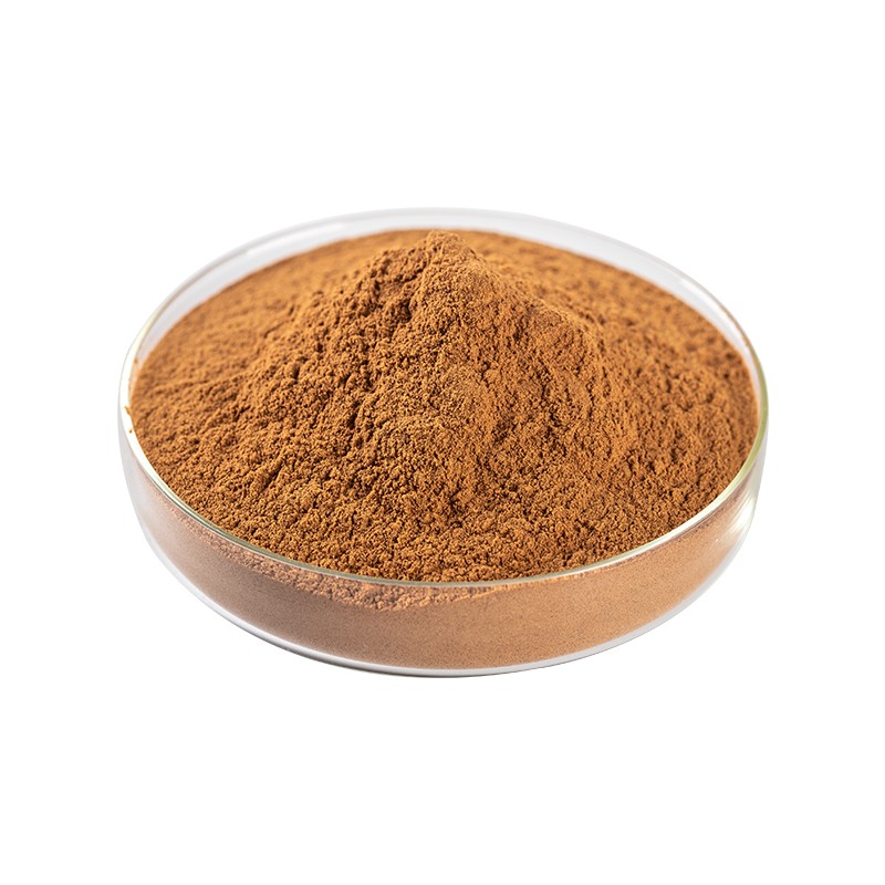 Cinnamon Bark Extract Supplier - 10:1 Bulk Powder
