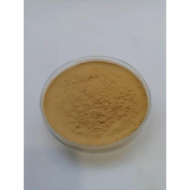 Ginseng Extract Powder Supplier - 10:1 Root Extract Bulk