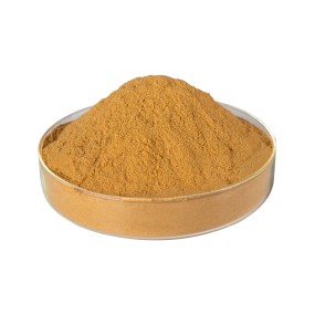 Ginkgo Biloba Extract Supplier - 100% Natural Herbal Leaf