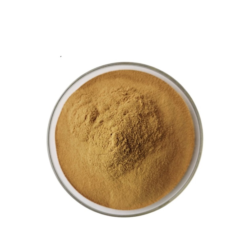 Reishi Mushroom Extract Supplier - 40% Polysaccharides Powder