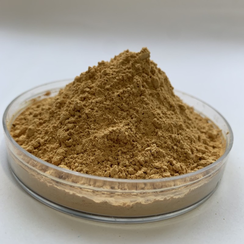 Ginkgo Biloba Extract Supplier - 100% Natural Herbal Leaf