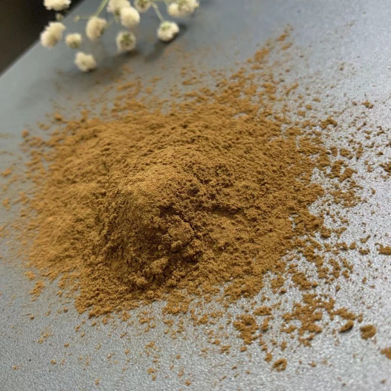 Mushroom Extract Powder Manufacturer - Low Price Bulk Supply