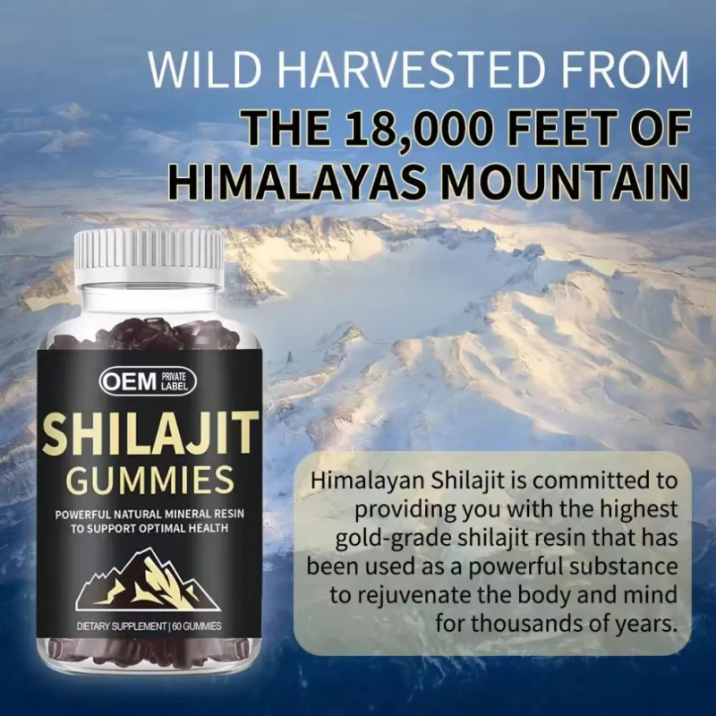 OEM ODM Shilajit Gummies 5 in 1 Supplement with Chaga Mushroom and Ashwagandha With Vitamins Private Label