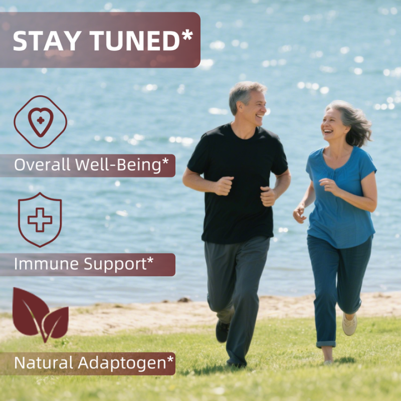 OEM/ODM Korean Red Panax Ginseng Extract Liquid Drops Organic Ginseng Root Drops Immune Support Vegan Ginseng Drops