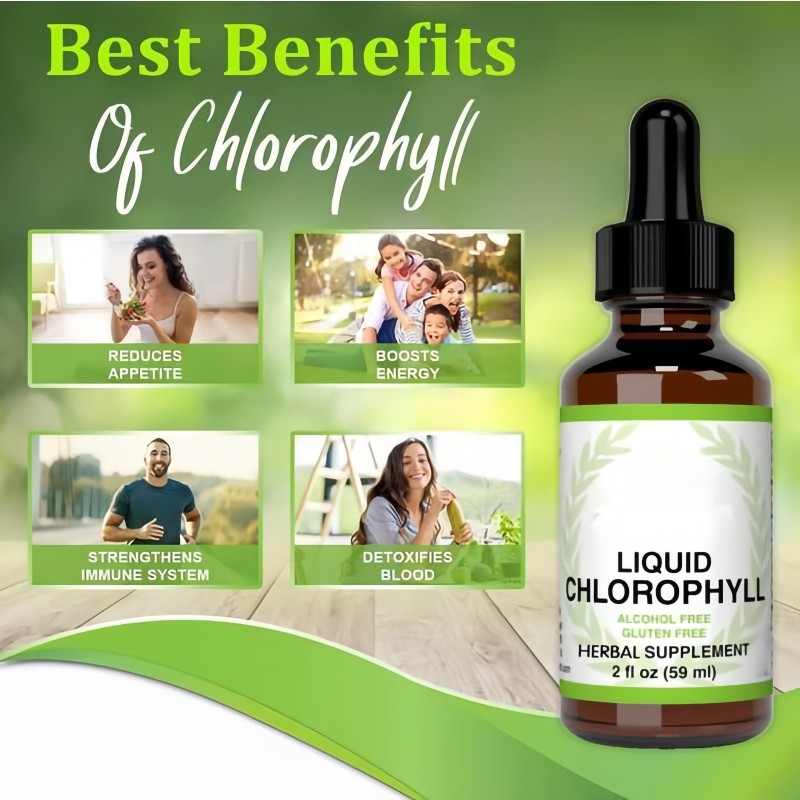 OEM Customized Label Liquid Chlorophyll Drops Bulk Organic Vegan Chlorophyll Liquid Drops Supplement