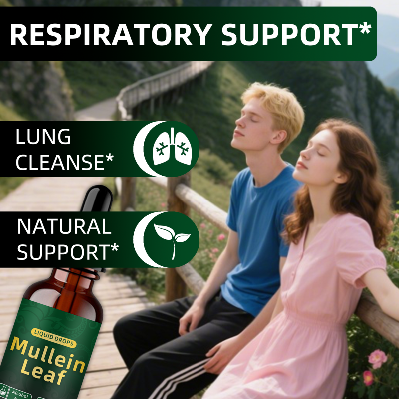OEM Natural Lung Cleanse Detox Mullein Leaf Extract Drops Mullein Chlorophyll Liquid Supplement For Respiratory System Support