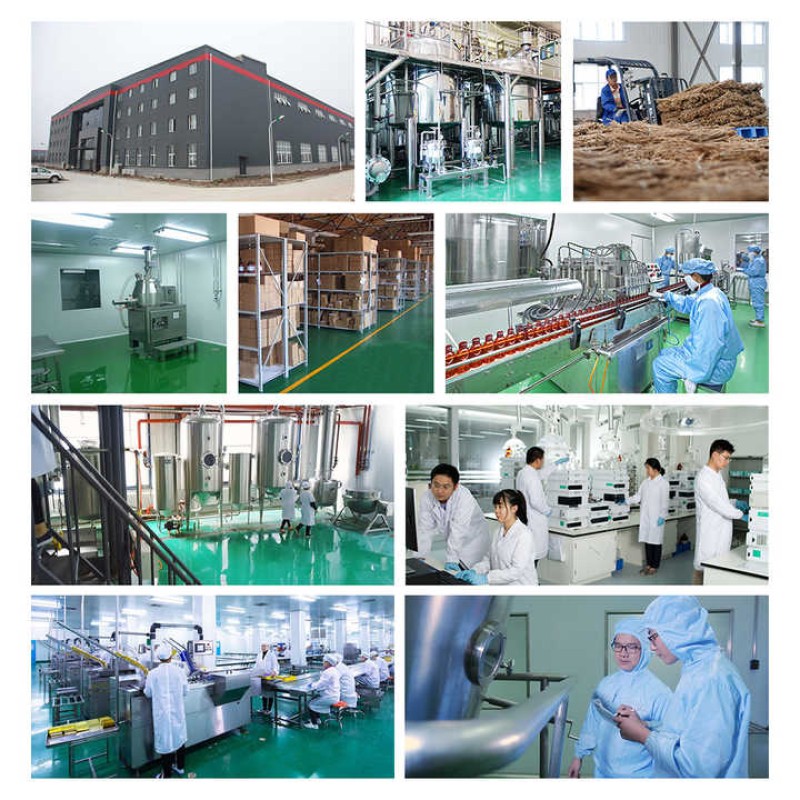 OEM Msm Methyl Sulfonyl Methane Powder Capsule Natural Organic Capsules Bone Density Msm Methyl Sulfonyl Methane Powder Capsule