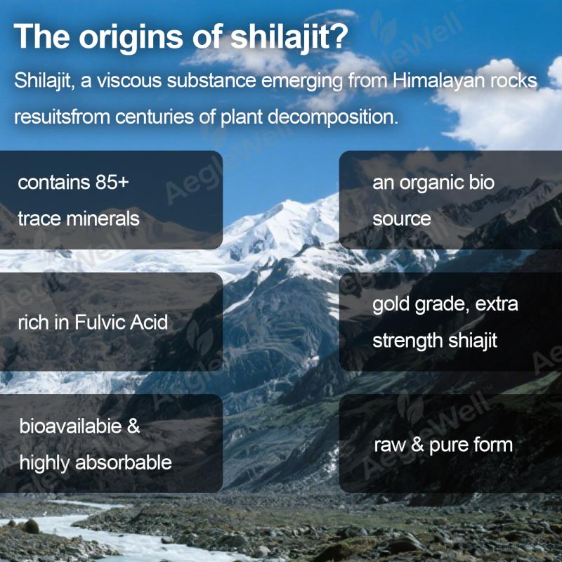 Aeglewell Private Label New Good Ready Formula Healthcare Energy Supplement Himalayan Shilajit Capsules