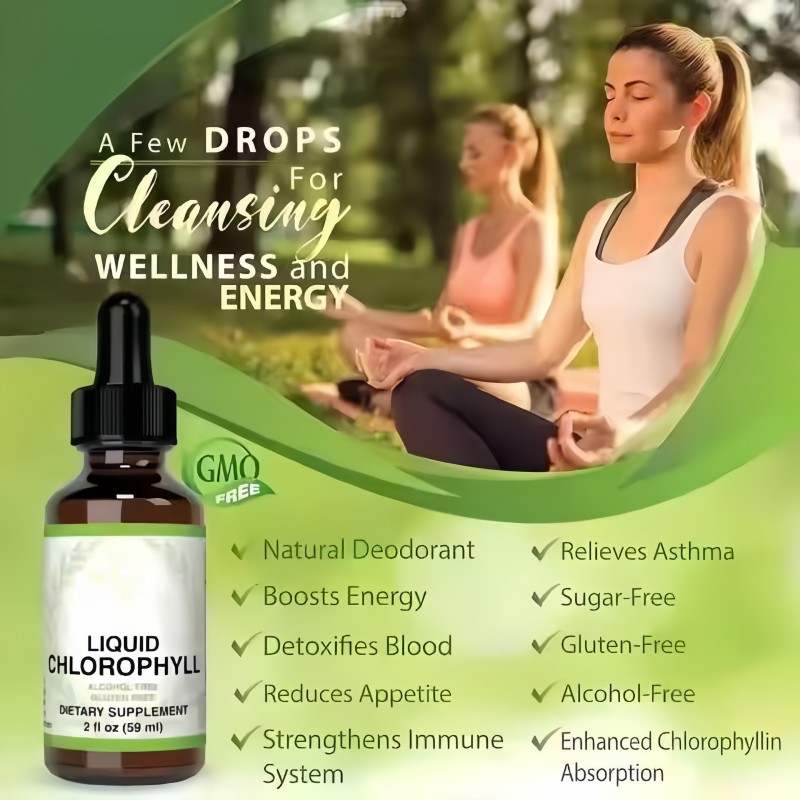 OEM Customized Label Liquid Chlorophyll Drops Bulk Organic Vegan Chlorophyll Liquid Drops Supplement