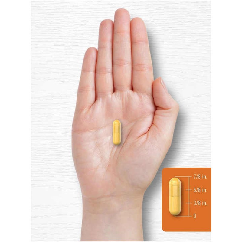 Oem Hot Selling Turkesterone Supplement Capsules Ajuga Turkestanica Extract Powder Turkesterone Supplement Complex Pills