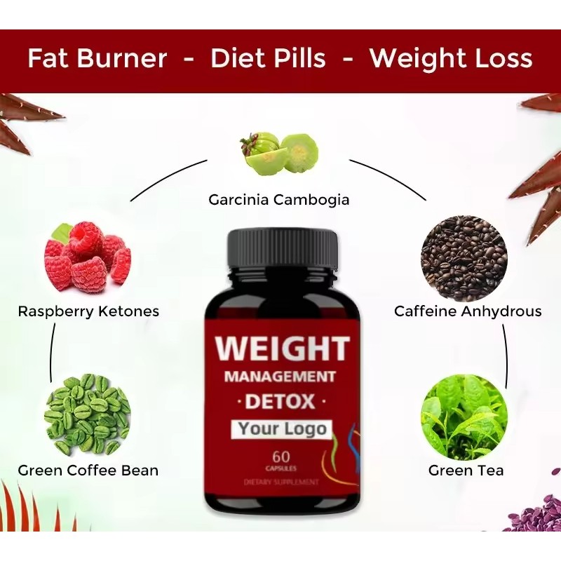 Aeglewell OEM Wholesale Good Price Popular Garcinia Cambogia Capsule Keto Fat Burner Diet Pills Weight Management Capsules