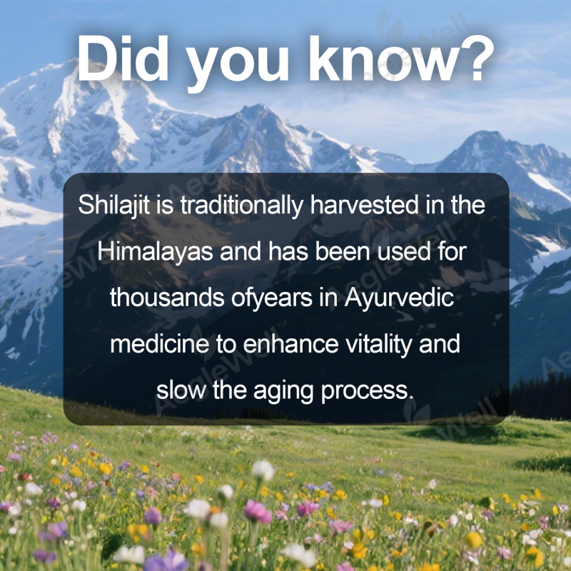 Aeglewell Private Label New Good Ready Formula Healthcare Energy Supplement Himalayan Shilajit Capsules