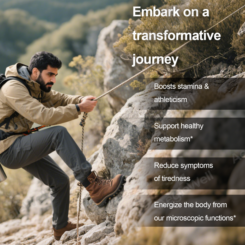 Aeglewell Private Label New Good Ready Formula Healthcare Energy Supplement Himalayan Shilajit Capsules