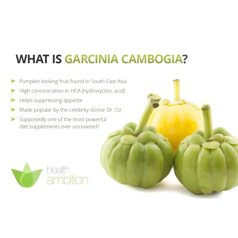 Cocoa Seed Extract Factory - Pharmaceutical Grade Drum