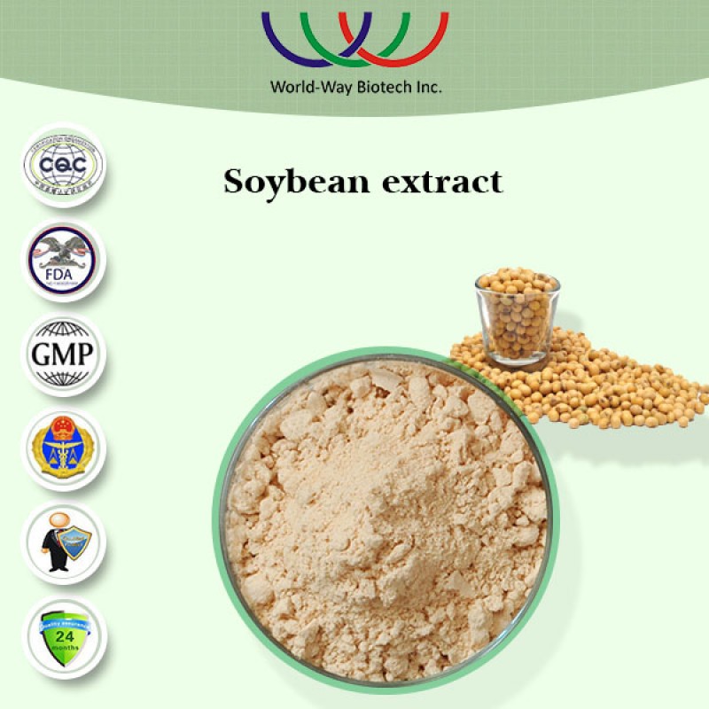 Cocoa Extract Powder Supplier - Theobromine Favorable Price