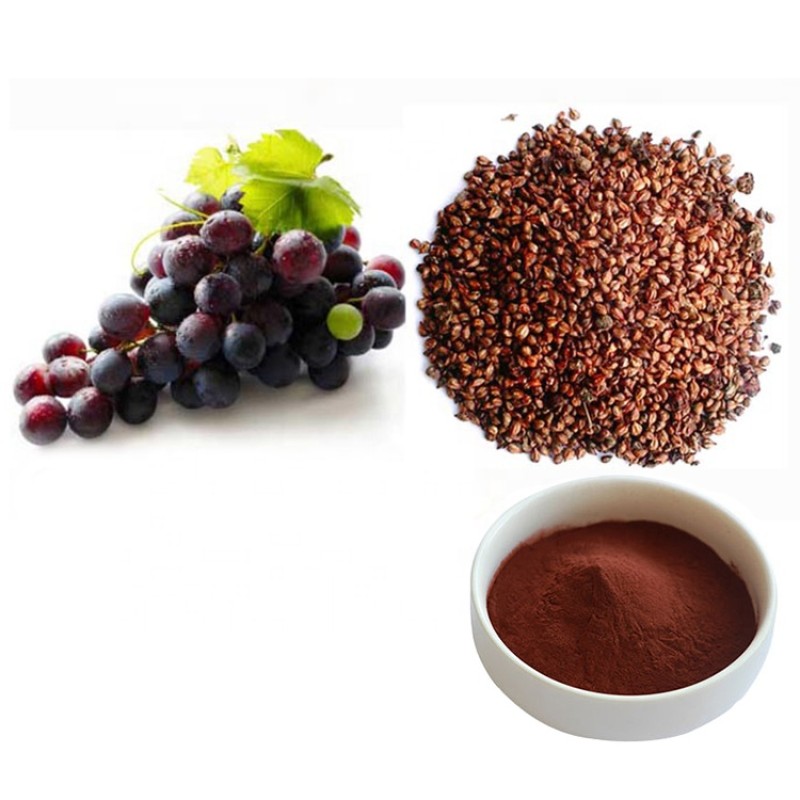 Grape Seed Extract Capsules Supplier - OPC Oligomeric Proanthocyanidins